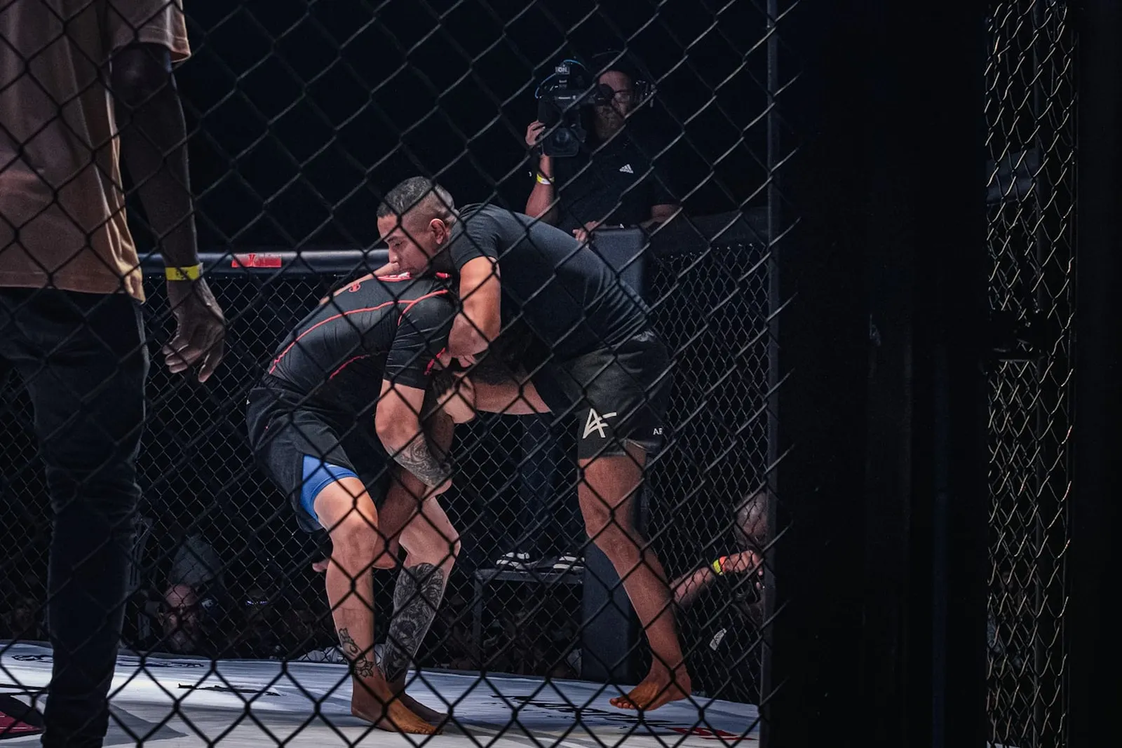 Le MMA en France, d’un interdit à une fédération